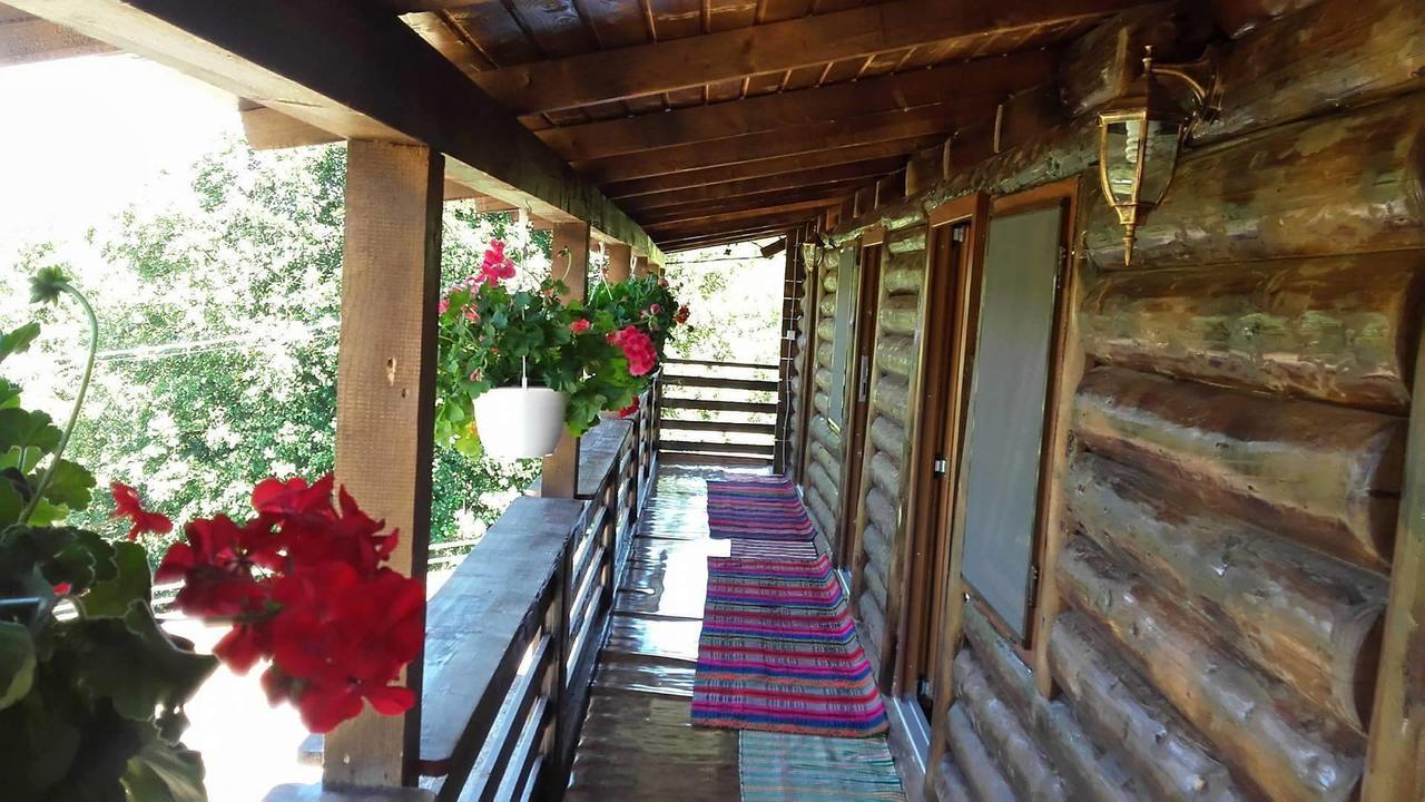 Floare de Maramures 2 Sighetu Marmaţiei Exterior foto