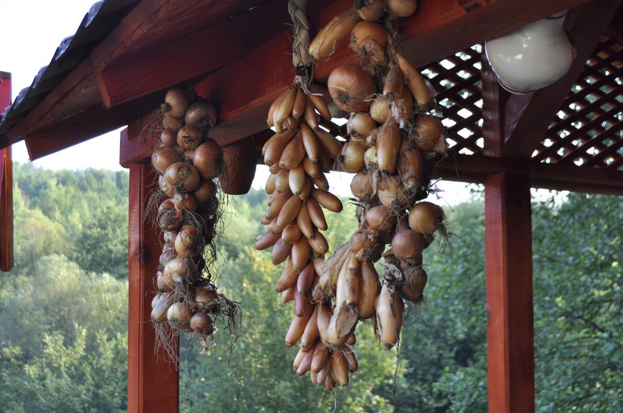 Floare de Maramures 2 Sighetu Marmaţiei Exterior foto