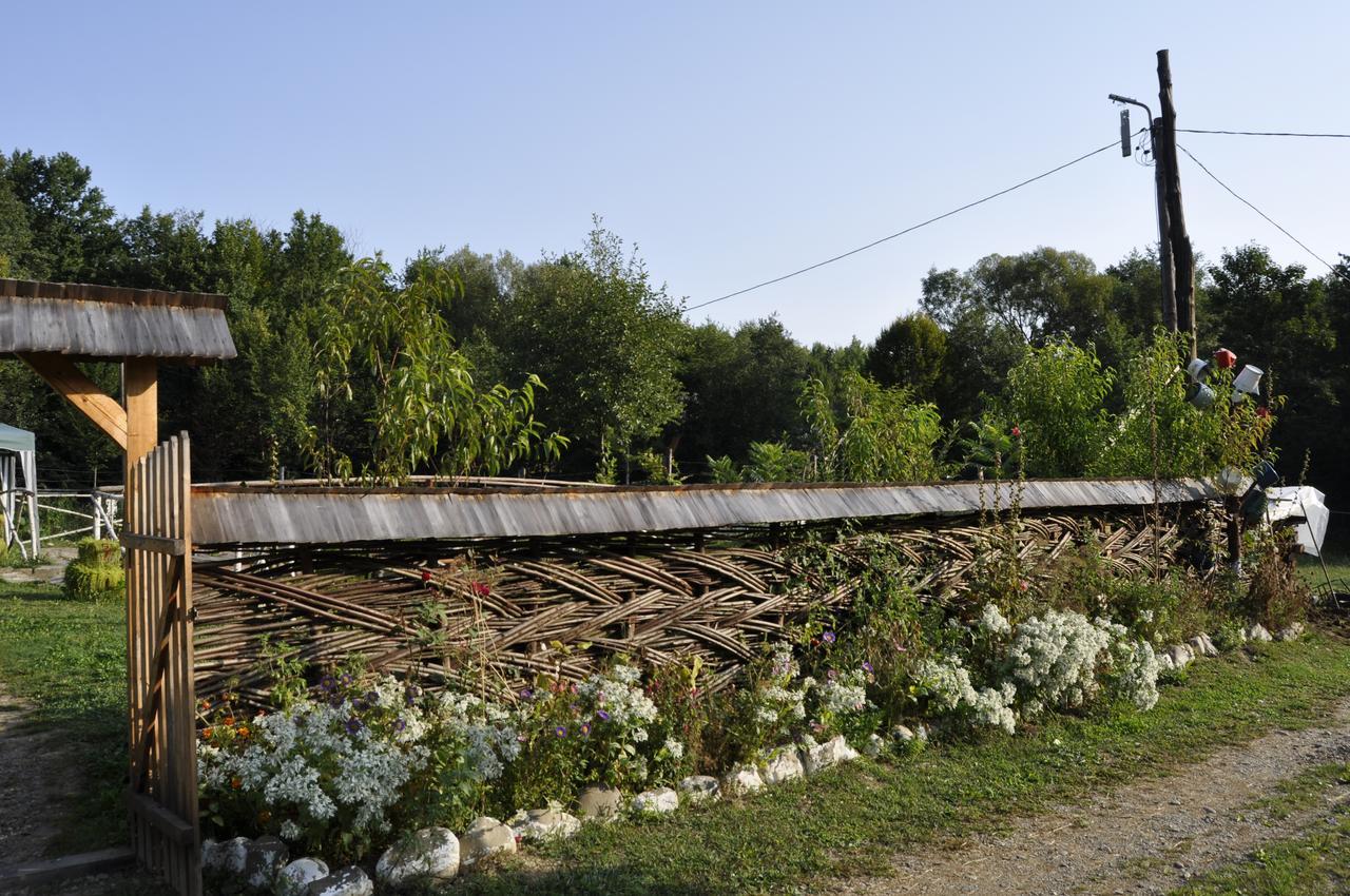 Floare de Maramures 2 Sighetu Marmaţiei Exterior foto